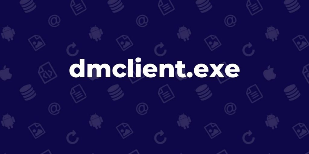 dmclient.exe